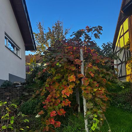 Kleine Auszeit - Ferienwohnung Heideberg - "Rhein" In Den Urlaub Bacharach Eksteriør billede