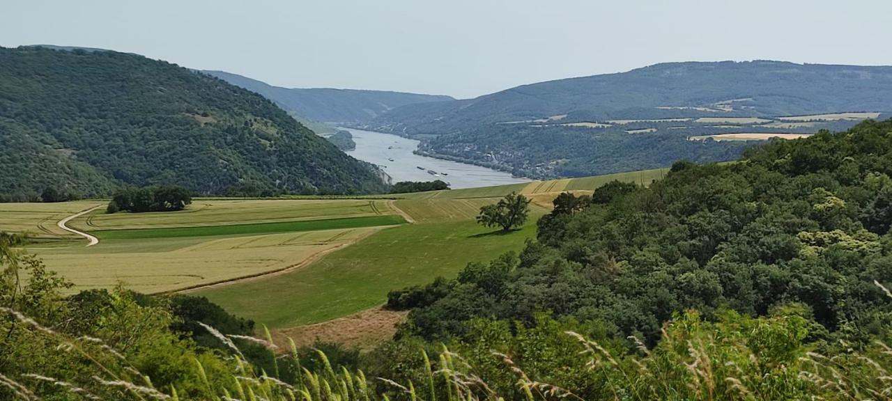 Kleine Auszeit - Ferienwohnung Heideberg - "Rhein" In Den Urlaub Bacharach Eksteriør billede